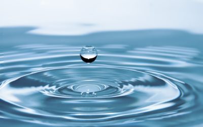Les astuces Feng Shui: l’eau dans la maison